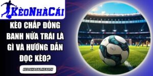 Kèo Chấp Đồng Banh Nửa Trái Là Gì